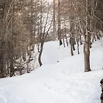 Appartement Maison Rododendro Elegant *